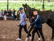 AH190423-17 - Farouk De Cheneau